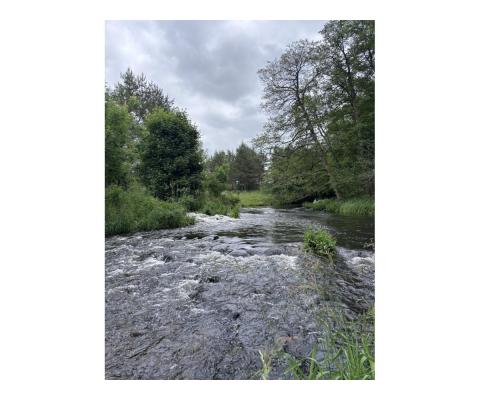 Kupię wędkę muchowa 10’0, #5
